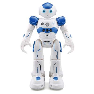 Speech & Gesture Robot – Remote Controlled Educational Play