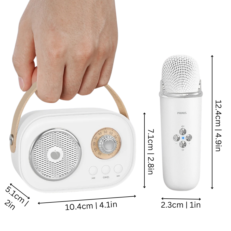 Portable Karaoke Machine with Dual Mics & Bluetooth for Families
