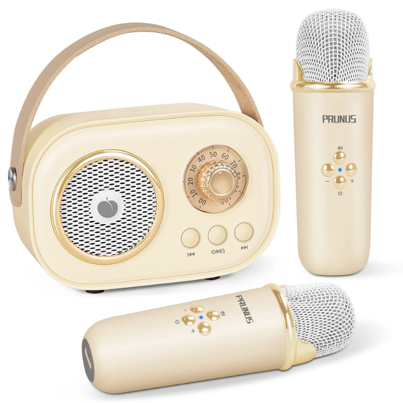 Portable Karaoke Machine with Dual Mics & Bluetooth for Families