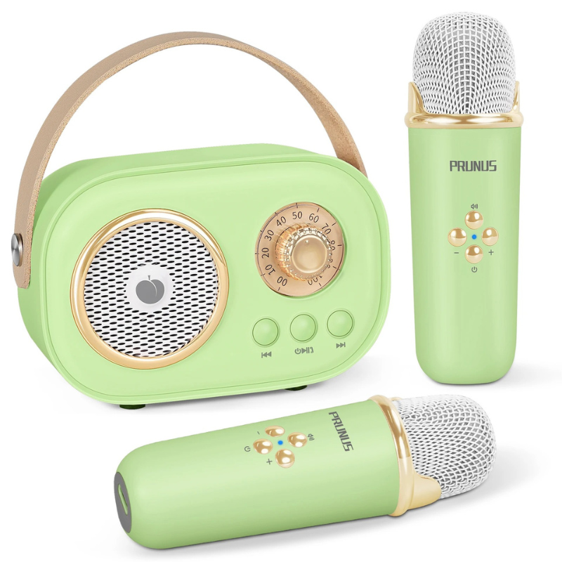 Portable Karaoke Machine with Dual Mics & Bluetooth for Families