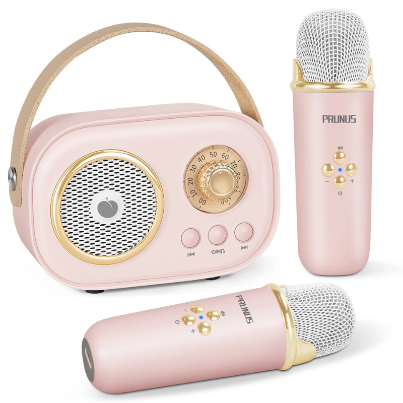 Portable Karaoke Machine with Dual Mics & Bluetooth for Families