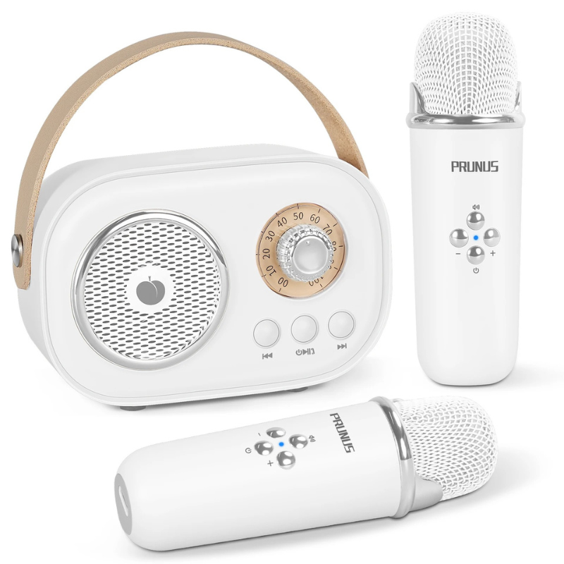 Portable Karaoke Machine with Dual Mics & Bluetooth for Families