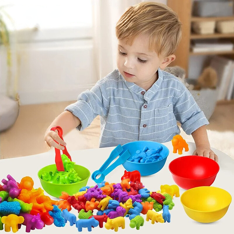 Dinosaur Sorting Toy with Learning Pieces - Education Game