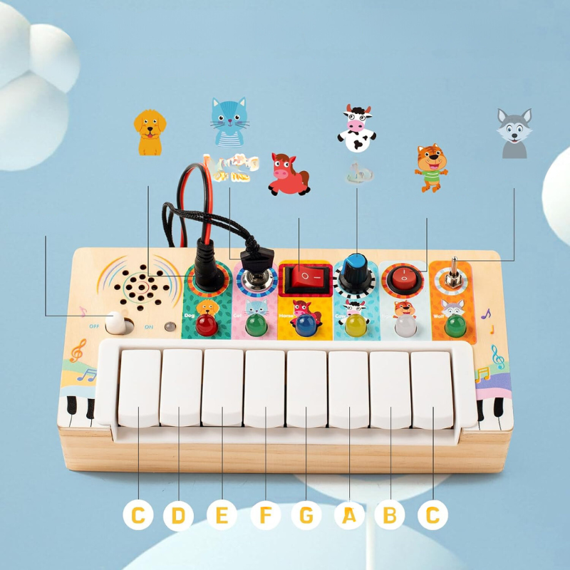 Montessori Piano Sensory Toy Set with with LED Light