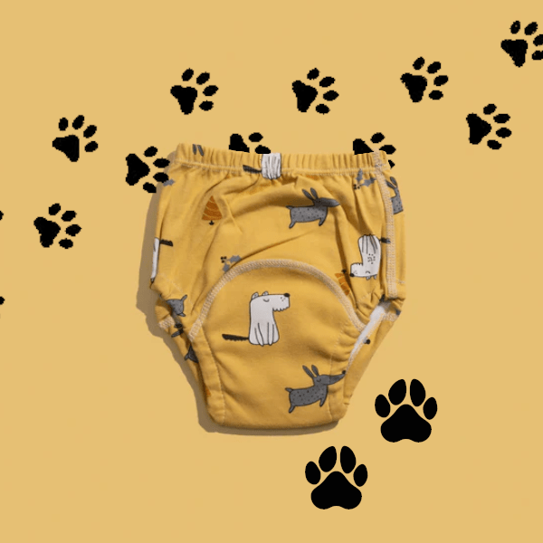 Cotton Potty Training Pants – Reusable Leak-Proof Toddler Underwear