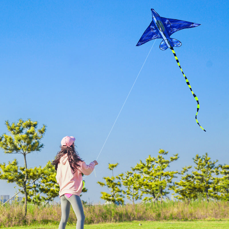Plane Kite with Handle for Kids - Outdoor Play